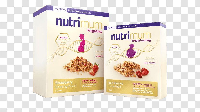 Breakfast Cereal Honey Nut Cheerios Muesli Product - Energy Bars Transparent PNG