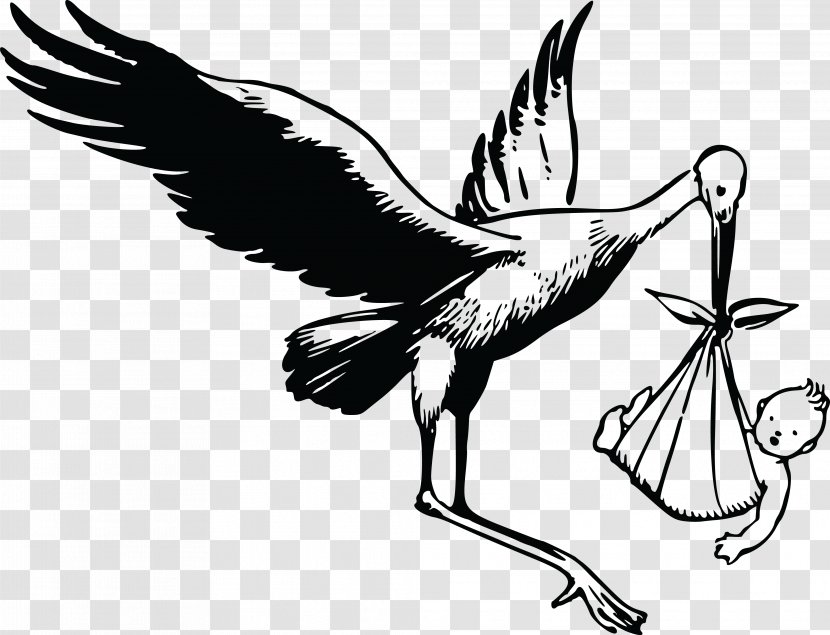 White Stork Bird Heron Clip Art - Wing Transparent PNG