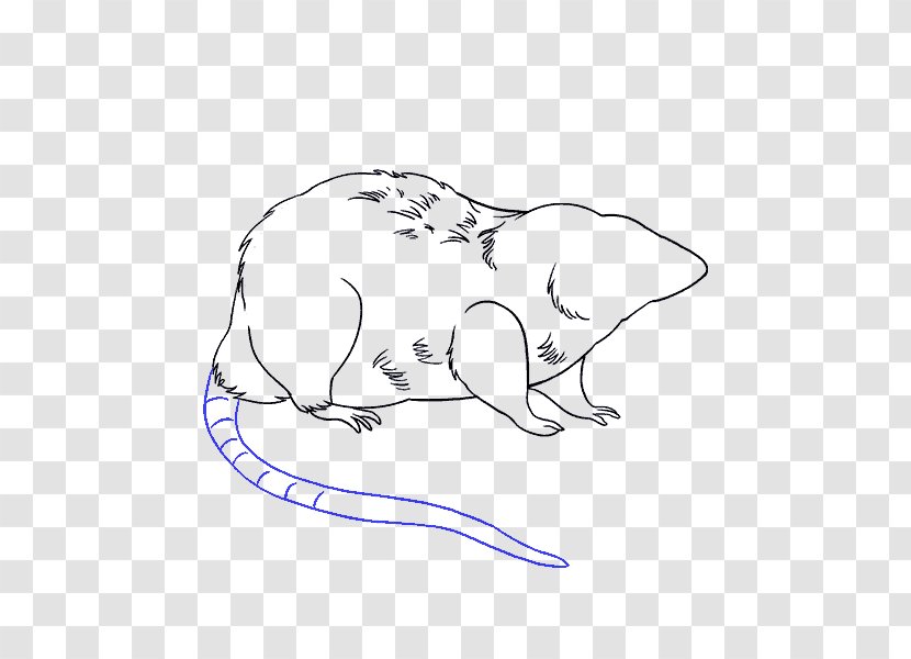 Laboratory Rat Drawing Mouse Sketch - Silhouette - Guide Transparent PNG