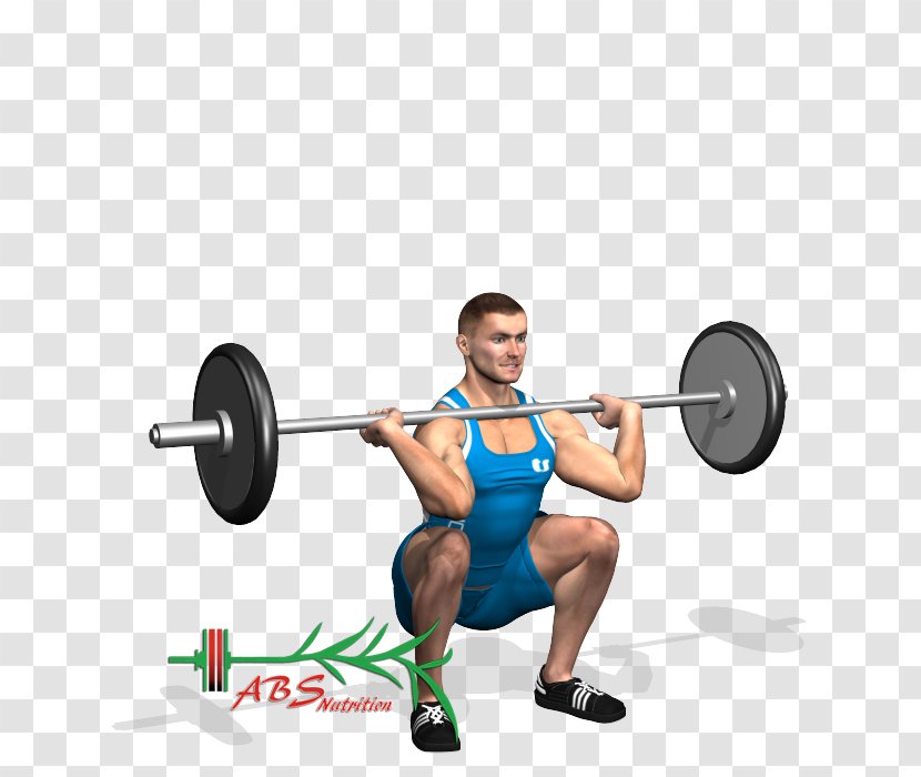 Quadriceps Femoris Muscle Barbell Weight Training Exercise Squat - Silhouette - Pistol Transparent PNG