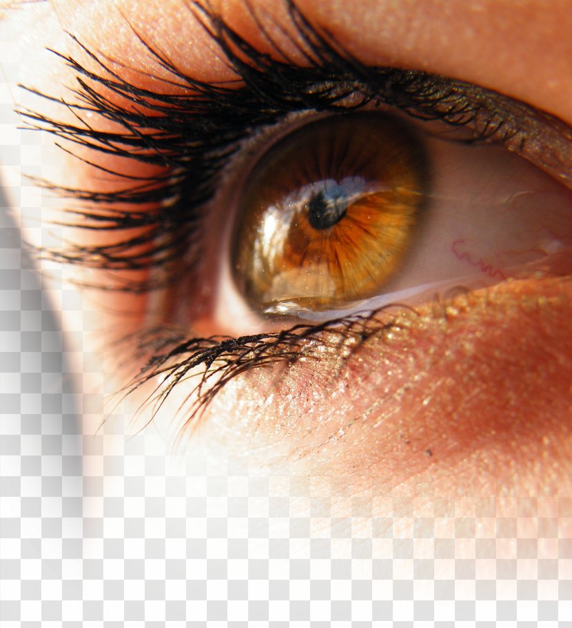 Light Eye Color Amber - Frame - Eyelashes Transparent PNG