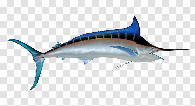 Bony Fishes Swordfish Requiem Sharks Tuna Sharks Transparent PNG