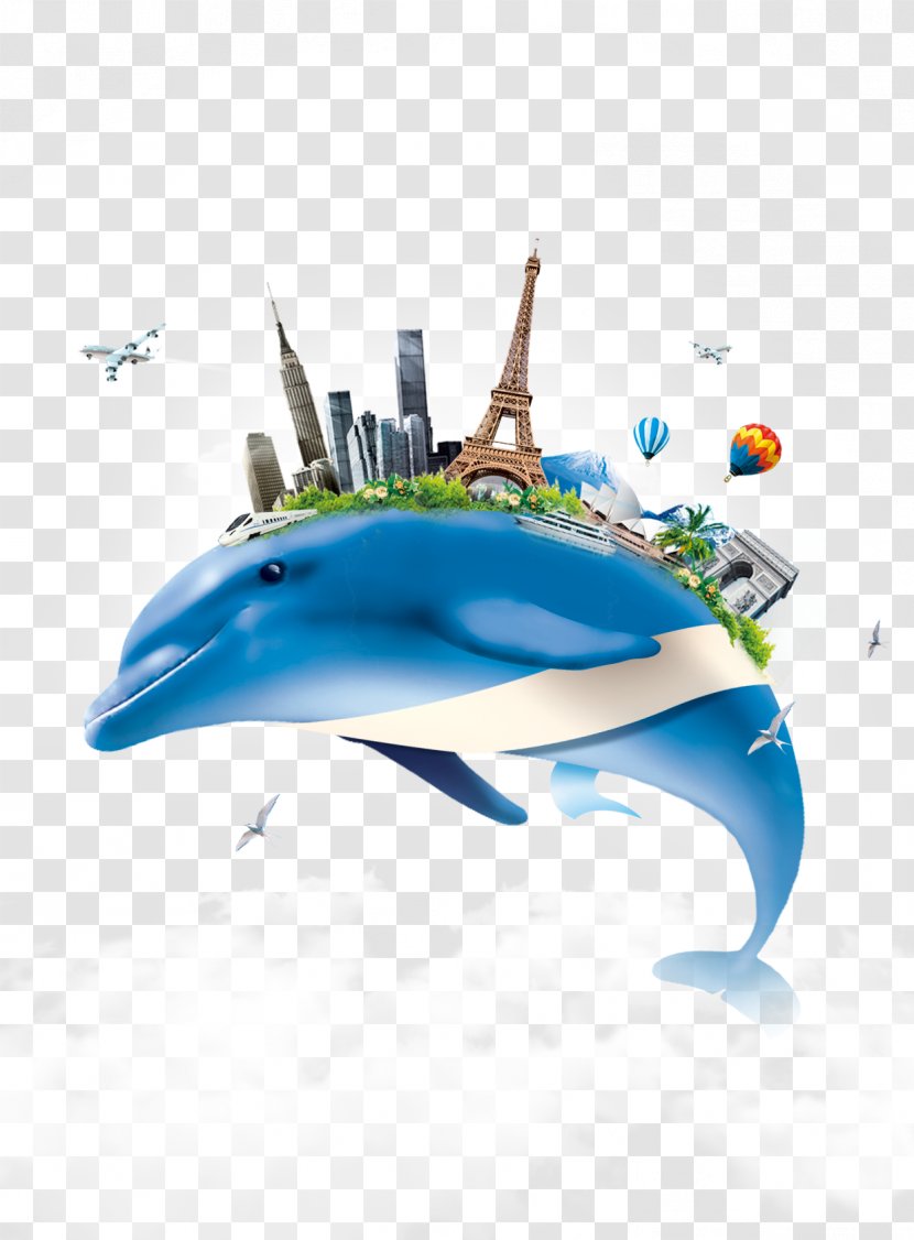 Dolphin - Oceanic - Building On The Creative Background Blue Transparent PNG