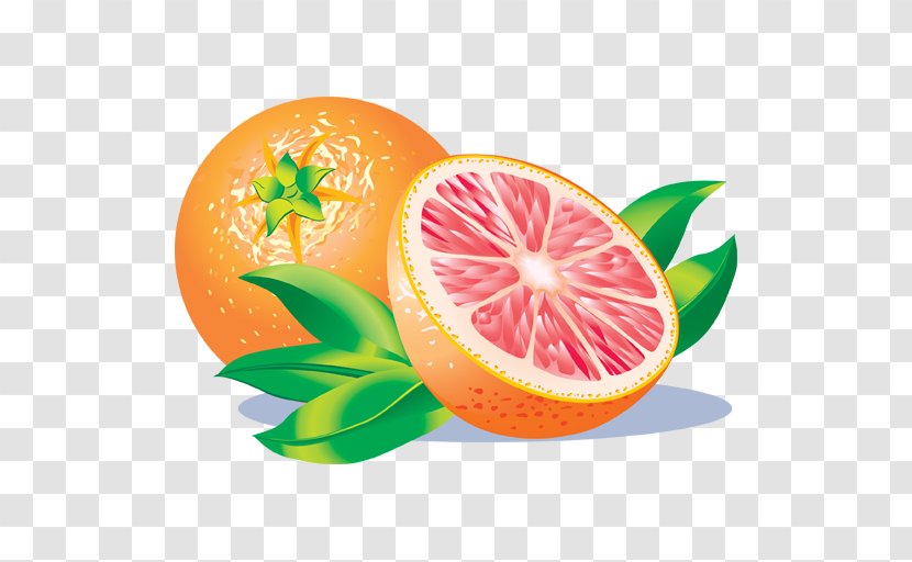 Grapefruit Juice Clip Art - Citrus Transparent PNG
