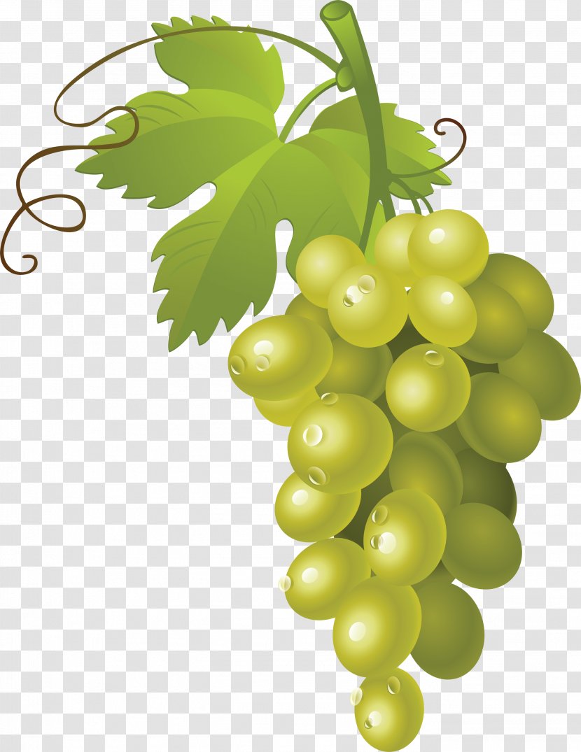 Grape Fruit Clip Art - Common Vine - Image Transparent PNG