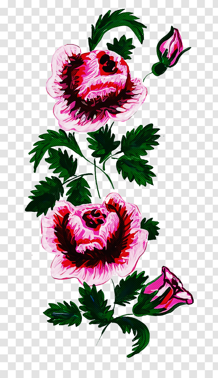 Floral Design Transparent PNG