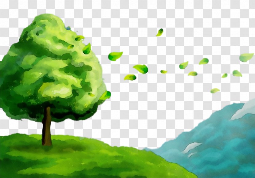 Green Nature Leaf Water Tree - Grass Watercolor Paint Transparent PNG