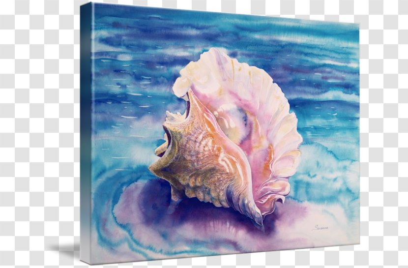 Seashell Watercolor Painting Conch Thepix - Lobatus Gigas Transparent PNG