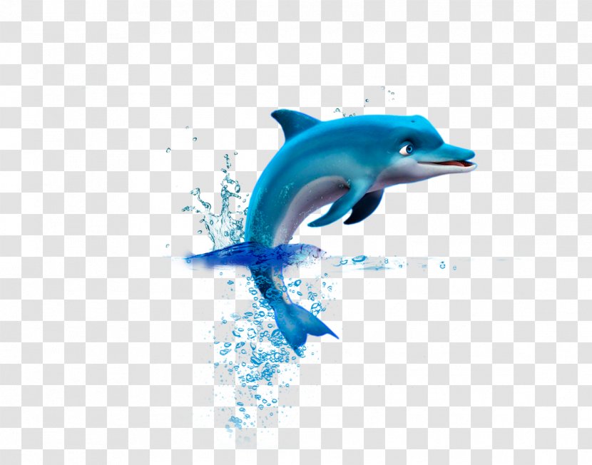 Common Bottlenose Dolphin Short-beaked Tucuxi Wholphin - Aqua Transparent PNG