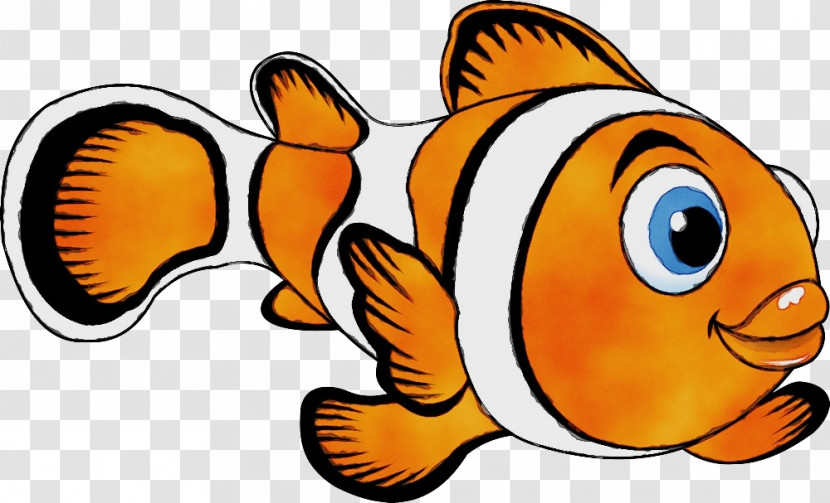 Fish Anemone Fish Clownfish Pomacentridae Fish Transparent PNG