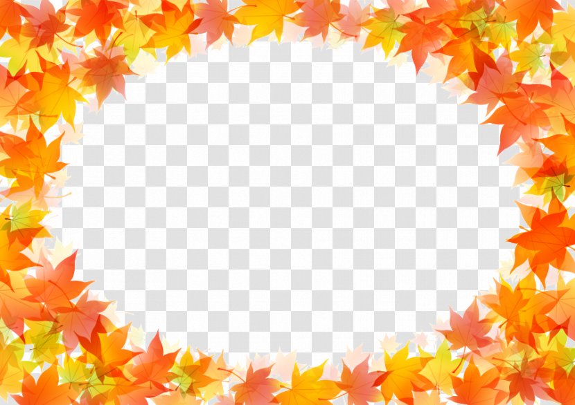 Autumn Leaf Color Drawing - Illustrator - Leaves Border Transparent PNG
