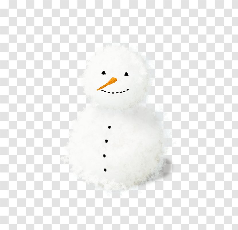 Carrot Snowflake Winter - Water Bird - Neige Transparent PNG