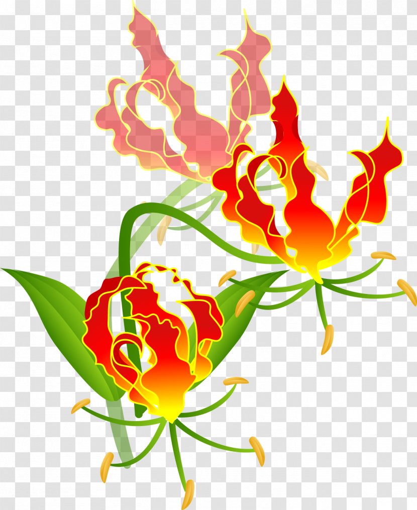 Floral Design Fire Lilies Cut Flowers Tulip - Plant - Flower Transparent PNG