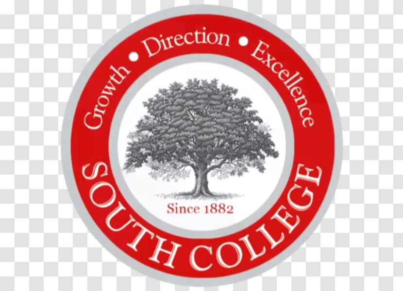 South College Student University School Transparent PNG