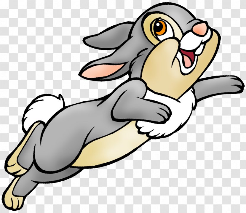 Hare Clip Art Rabbit Show Jumping Openclipart - Beak Transparent PNG