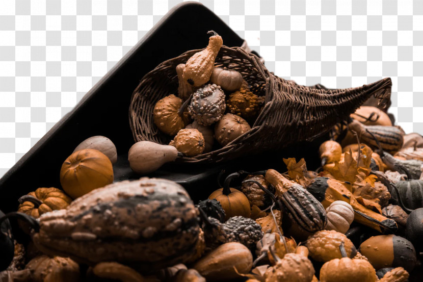 Mussel Cockle Superfood Nut Science Transparent PNG