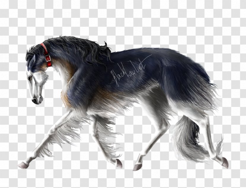 Saluki Borzoi Silken Windhound Irish Wolfhound Greyhound - Snout - Dog Breed Transparent PNG