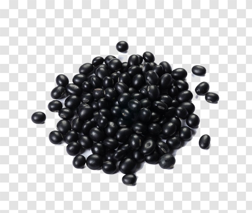 Black Turtle Bean Soybean Food Nutrition - A Pile Of Beans Transparent PNG