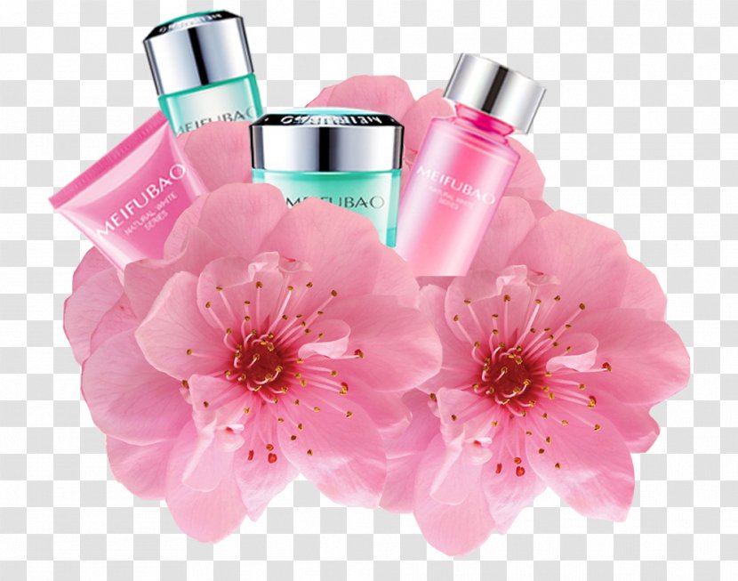 Cherry Blossom Cosmetics Icon - Ingredients Of - Sakura Transparent PNG