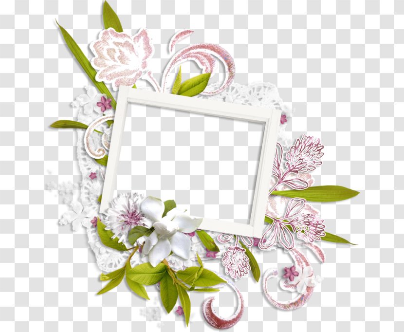 Picture Frames Floral Design Flower - Floristry Transparent PNG