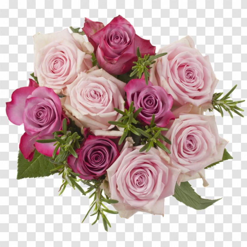 Garden Roses Qualirosa B.V. Flower Bouquet Cut Flowers - Magenta Transparent PNG