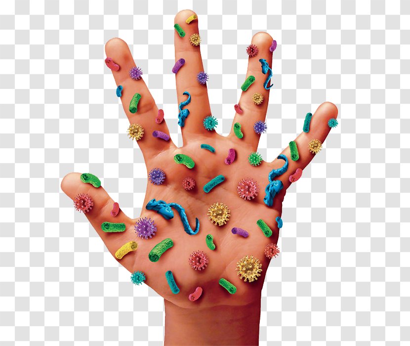 Centers For Disease Control And Prevention Infection Health Care Infectious - Joint - Hand Print Transparent PNG