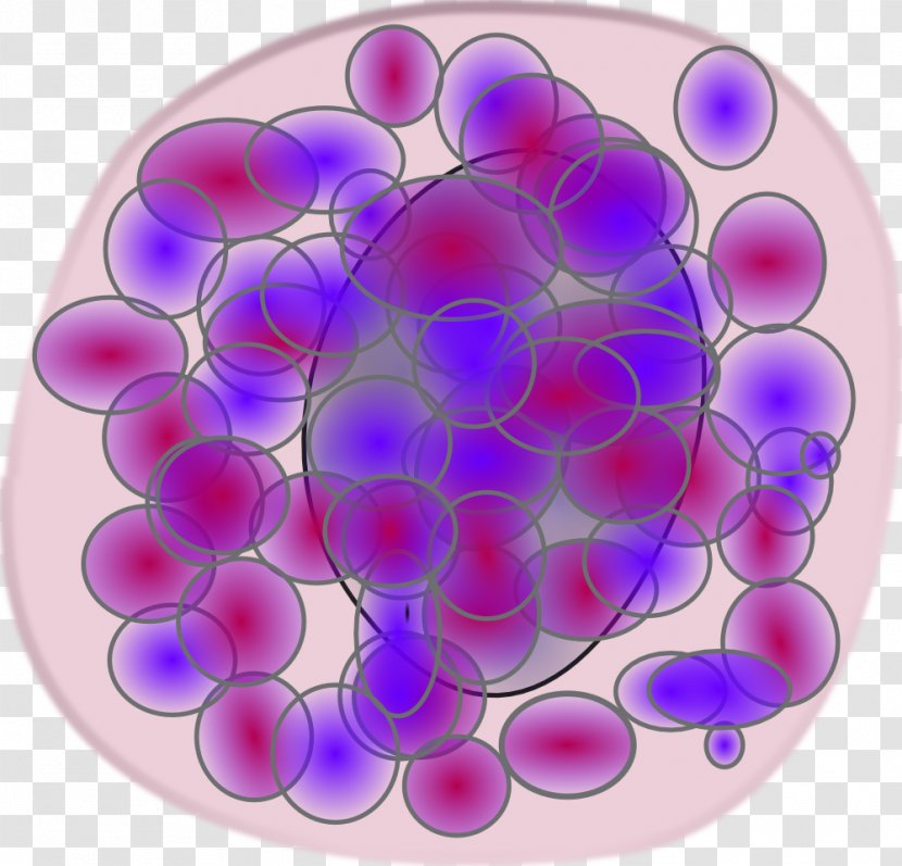Immune System Monocyte Blood Cell Basophil - Organism - TISSUE Transparent PNG