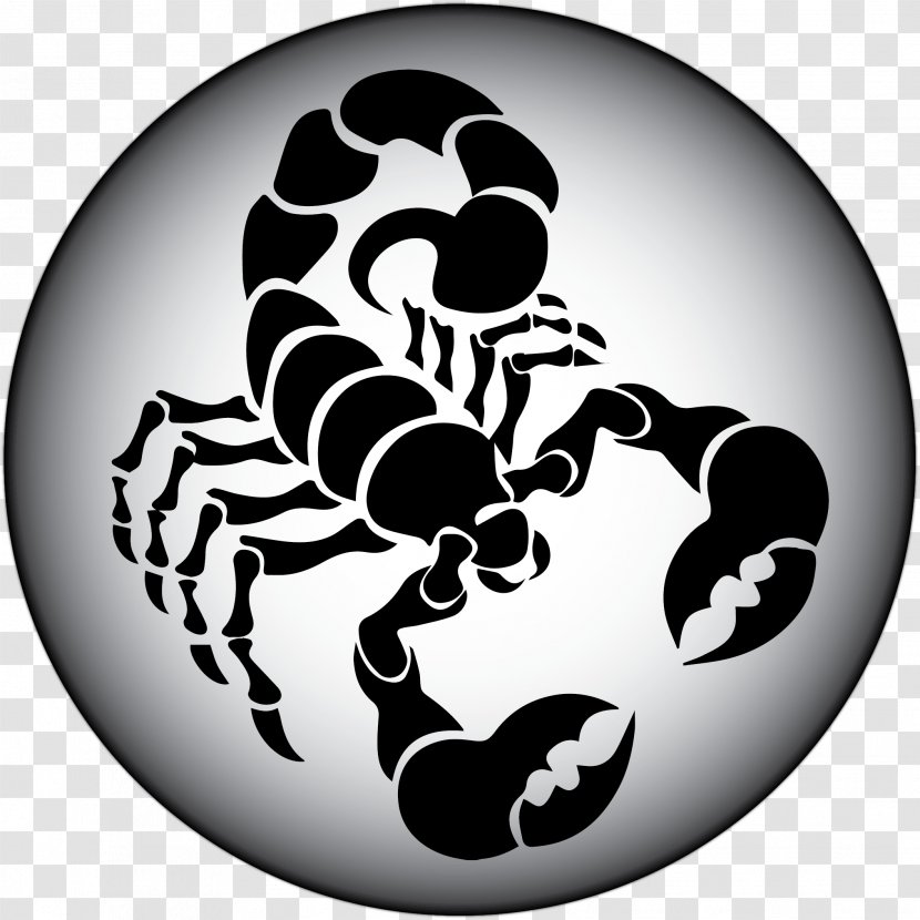 Scorpion Clip Art - Arachnid - Scorpio Image Transparent PNG