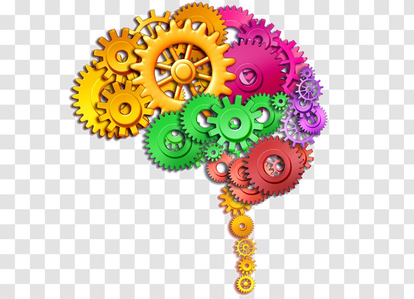 Human Brain Stock Photography Function Clip Art - Royaltyfree - Creative Transparent PNG