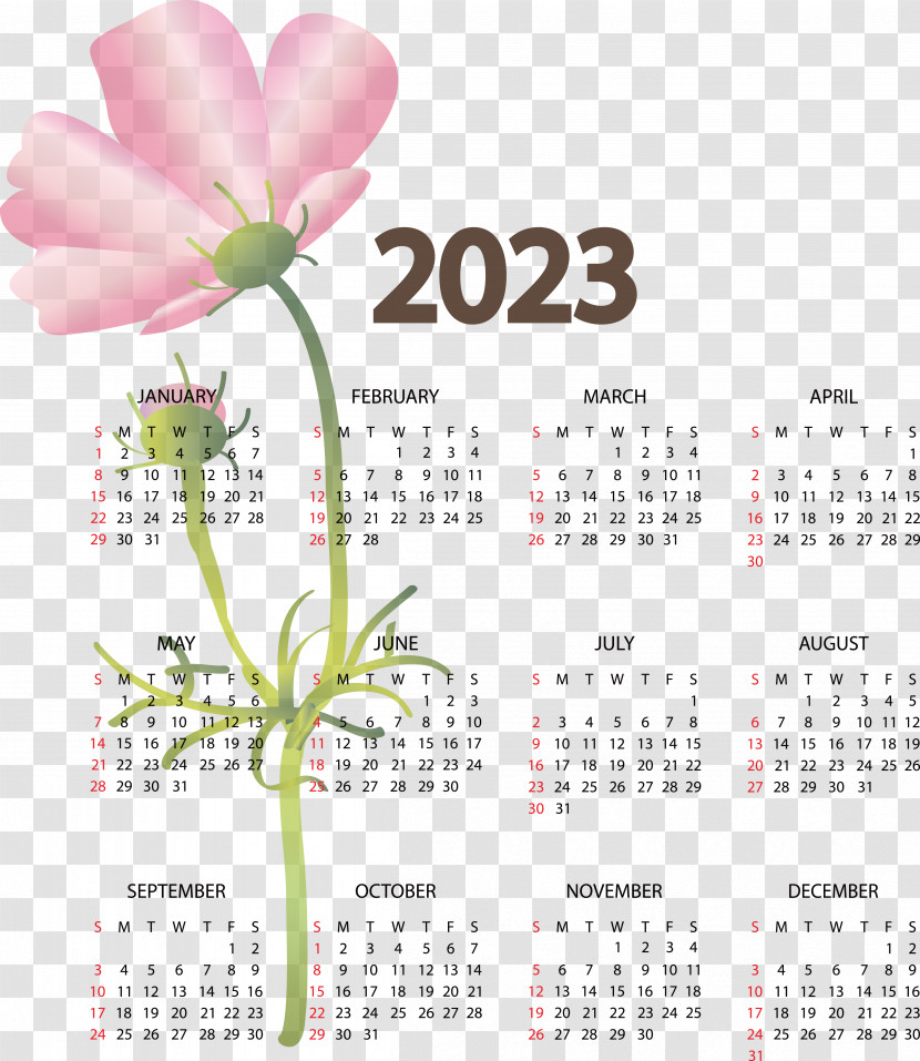 2023 Calendar 2022 2021 2020 Transparent PNG