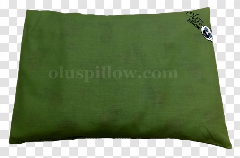 Throw Pillows Cushion Health Skull - Pillow - Kacang Hijau Transparent PNG
