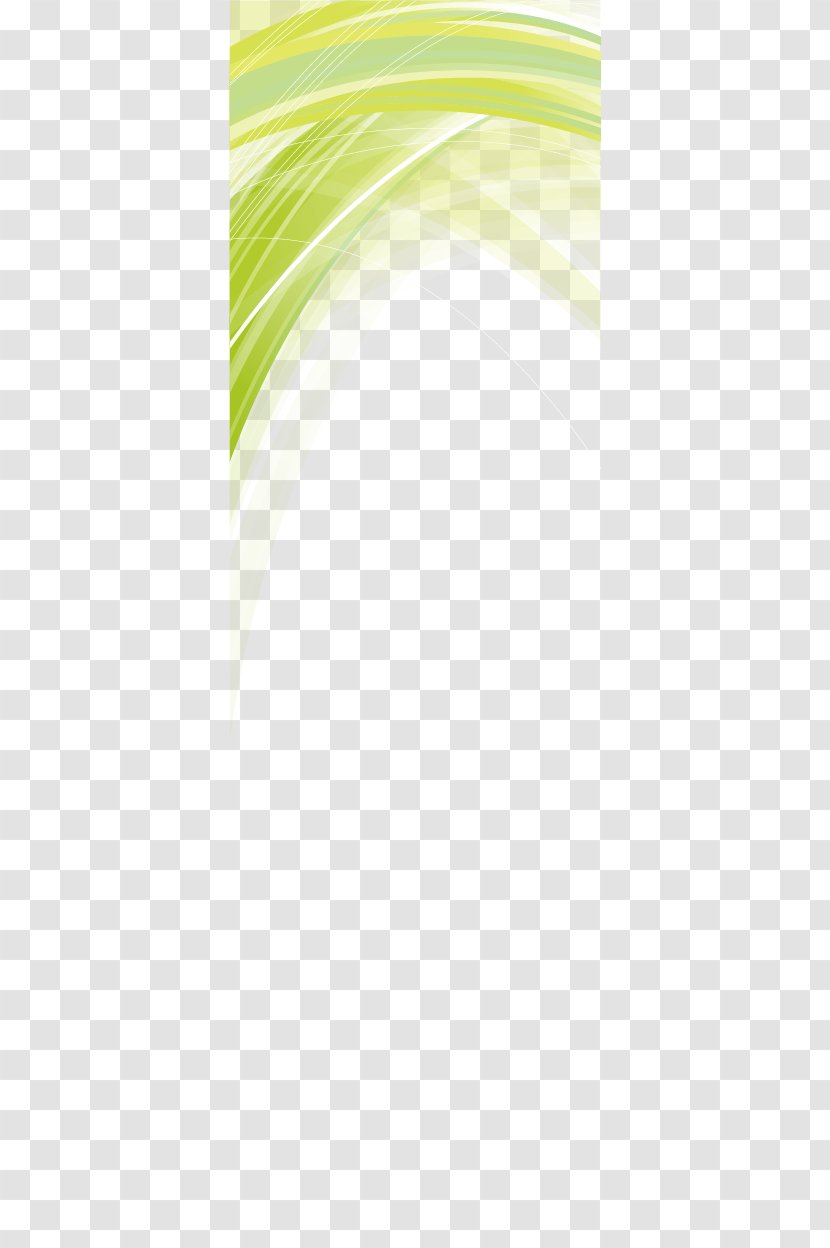 Euclidean Vector Icon - Text - Creative Green Wavy Line Border Transparent PNG