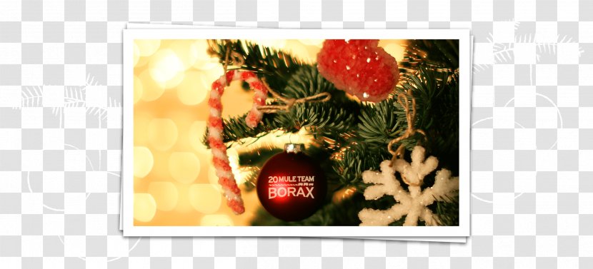 Christmas Ornament Snowflake - Holiday Decoration Design Transparent PNG