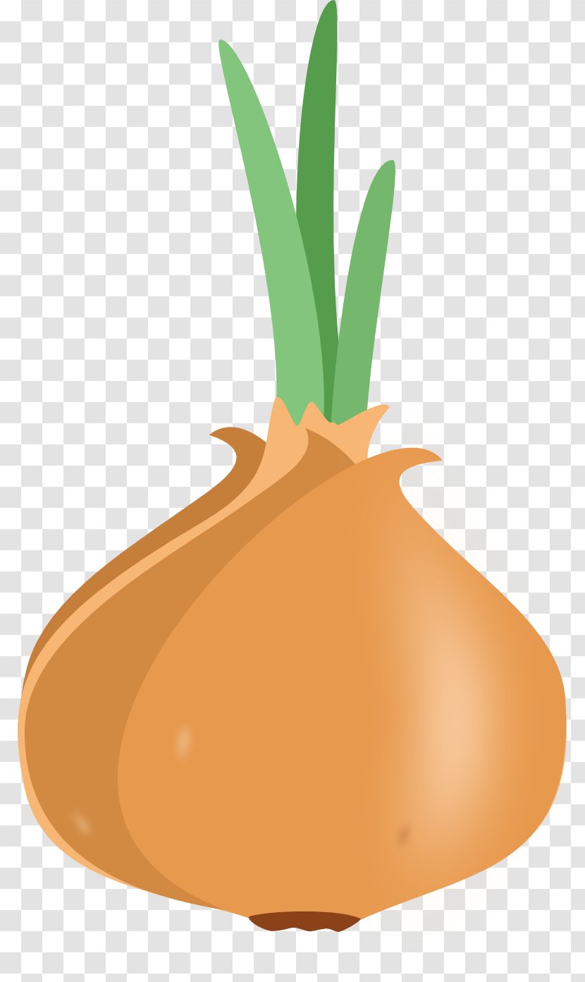 Onion Borscht Drawing Vegetable Raster Graphics - Digital Image Transparent PNG