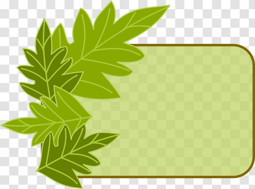 Download - Tree - Green Leaves Transparent PNG