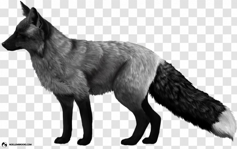 Domesticated Red Fox Arctic Silver Dog - Tail Transparent PNG