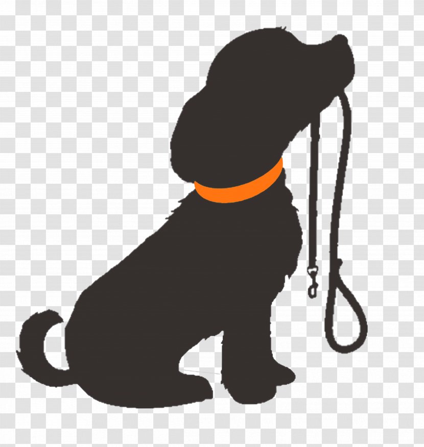 Puppy Scottish Terrier Siberian Husky Beagle Leash - Big Cats Transparent PNG