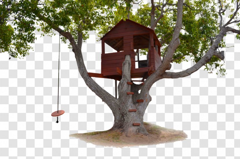 Tree House Living Room Transparent PNG