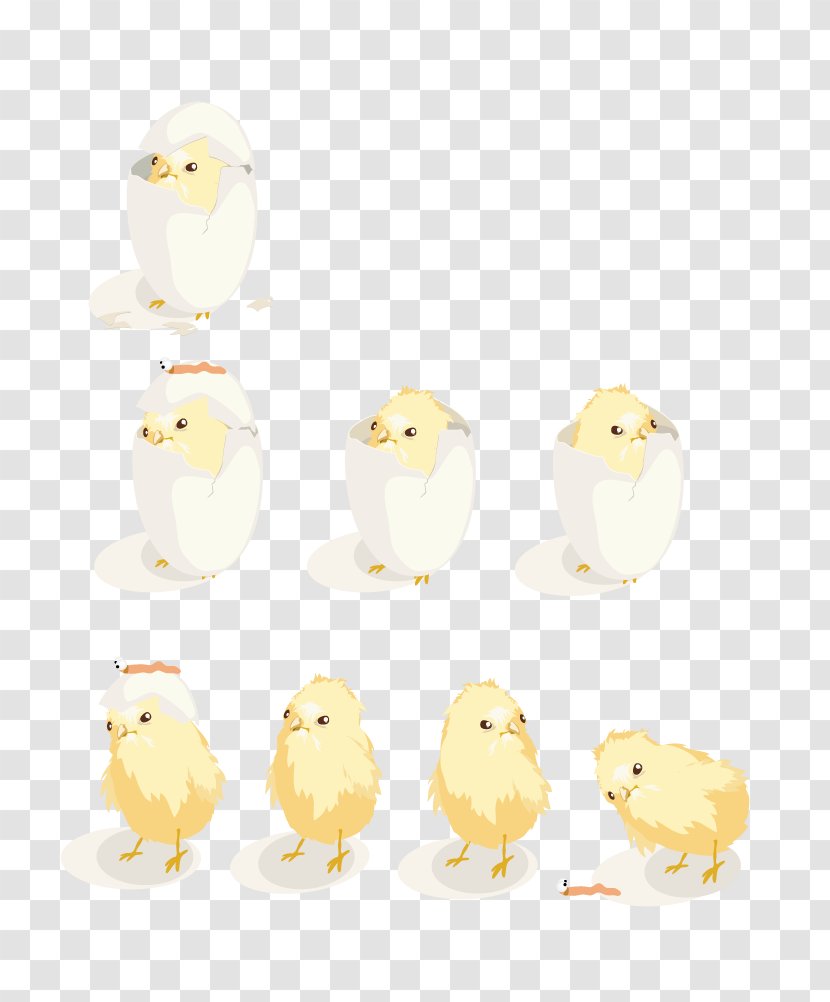 Huevos Estrellados Icon - Hand-drawn Illustration Of Chick To Be Hatched Transparent PNG