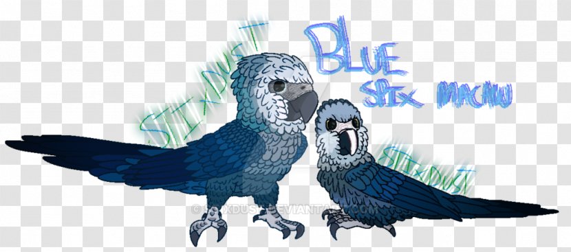 Macaw Artist DeviantArt Feather - Baby Spix Transparent PNG