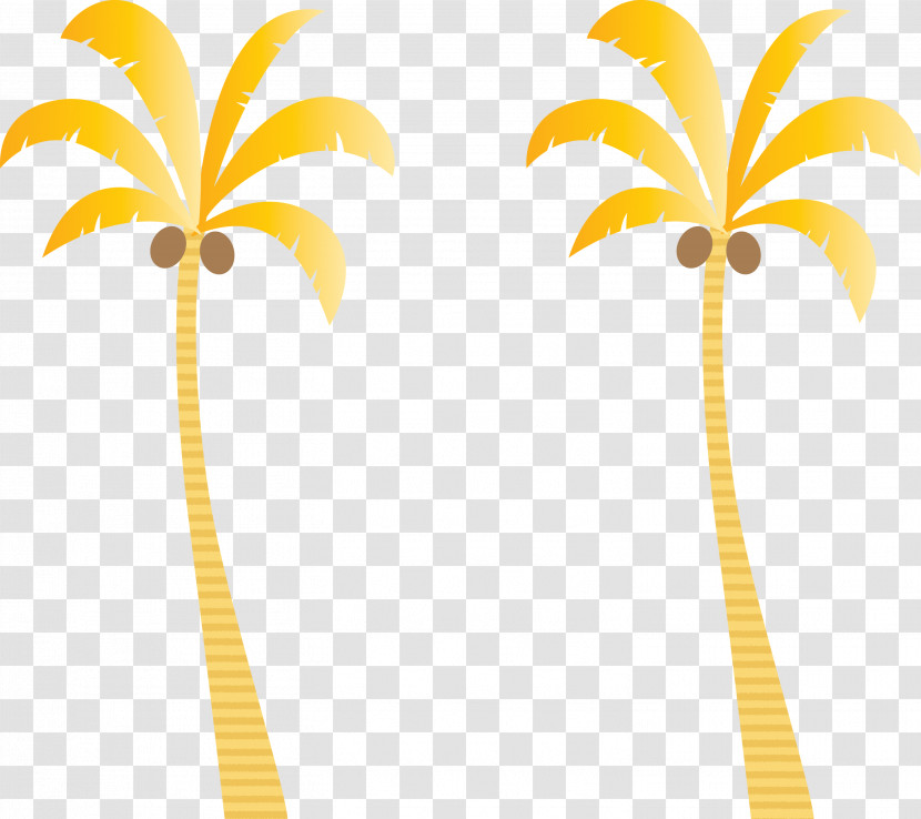 Palm Trees Transparent PNG