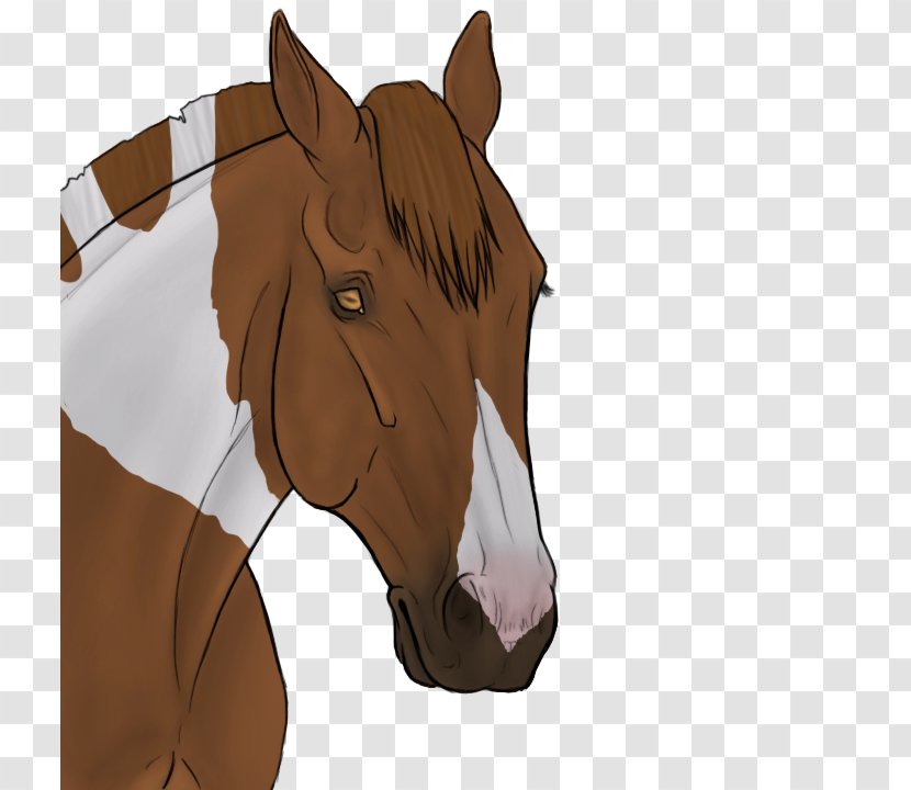 Mustang Pony Bridle Rein Halter - Horse Like Mammal - Golden Temperament Transparent PNG