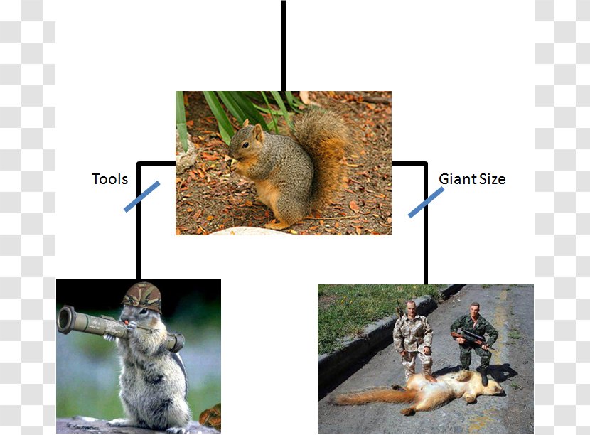 Prairie Dog Rodent Eastern Gray Squirrel Phylogenetic Tree - Chipmunk Transparent PNG