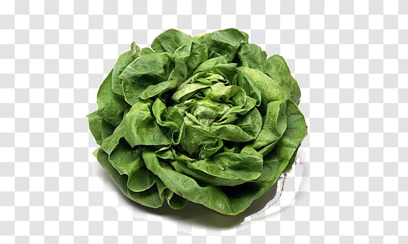 Romaine Lettuce Cabbage Vegetarian Cuisine Cruciferous Vegetables Spring Greens - Food Transparent PNG