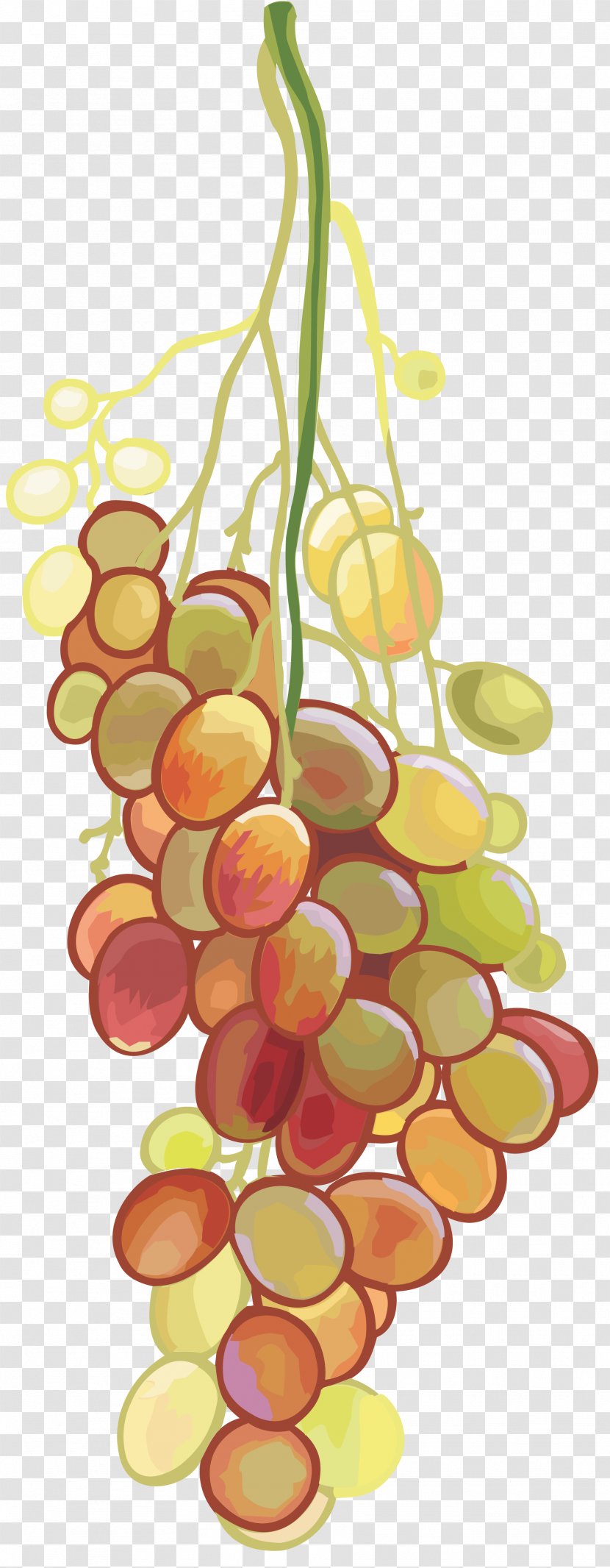 Wine Grapes Fruit Clip Art - Coreldraw Transparent PNG