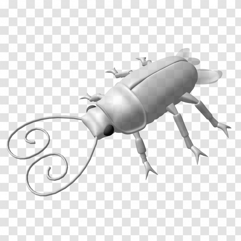 Beetle Product Design Pest - Invertebrate Transparent PNG