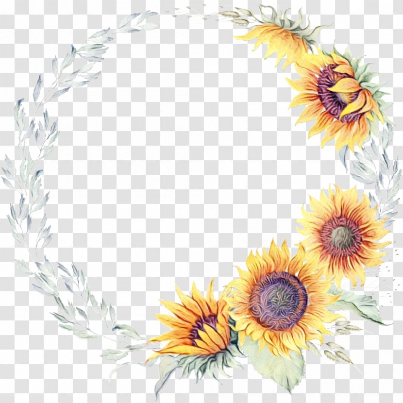 Sunflower - Flower - Camomile Daisy Family Transparent PNG