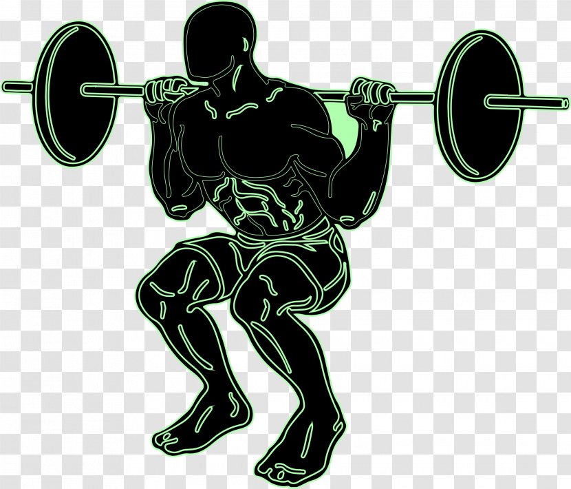 Olympic Weightlifting Squat Weight Training Clip Art - Weights - Squats Cliparts Transparent PNG