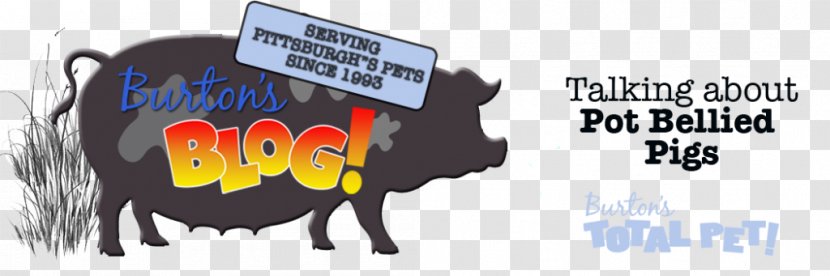 Pig Roast T-shirt Craft Gift - Pork - Pot Bellied Transparent PNG
