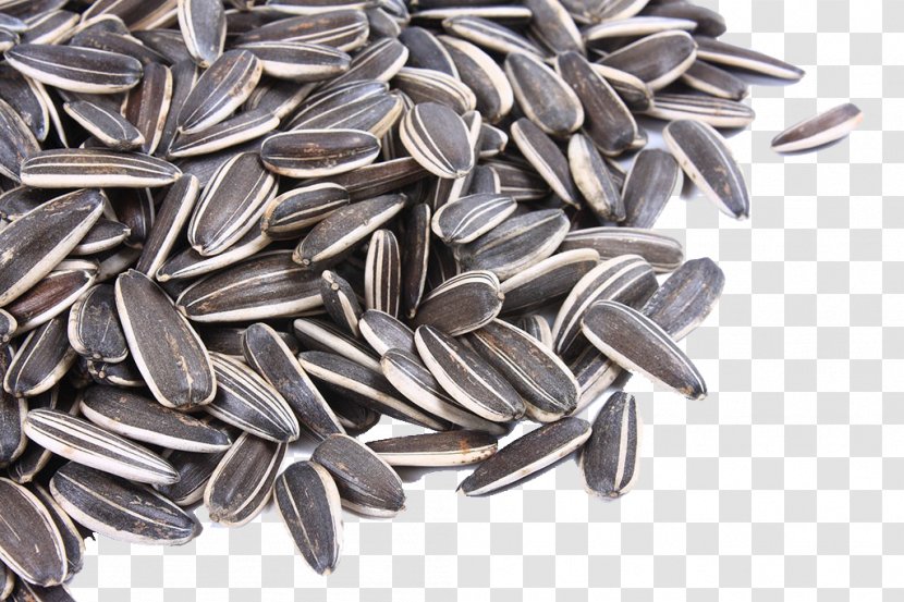 Nut Common Sunflower Seed Snack - Food - Seeds Transparent PNG